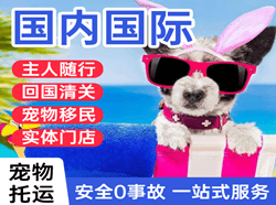 涟水航空空运国际宠物托运 【国